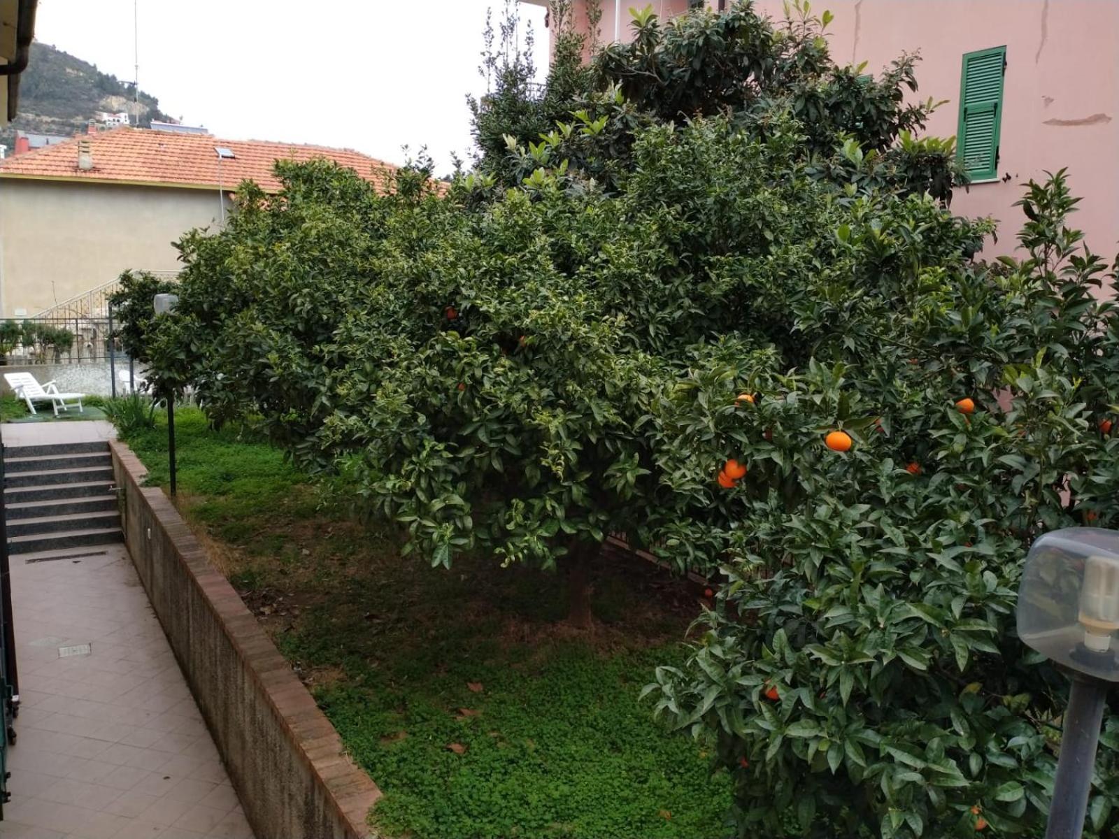 La Casa Di Cri Al Mare Due Villa Borgio Verezzi Exteriör bild